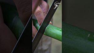 Le Secret d'une Boîte à Feu : Artisanat et Héritage Intangible