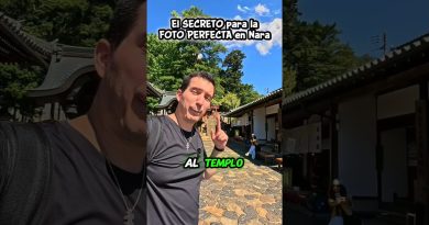Le Secret pour la Photo ÉPIQUE à Nara, Japon 🇯🇵