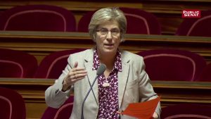 Le Sénat français impose une taxe aux géants du numérique