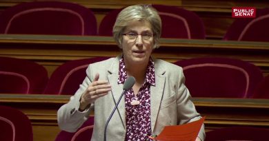 Le Sénat français impose une taxe aux géants du numérique