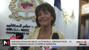 Le Sénat français vante le modèle marocain en énergies et transport