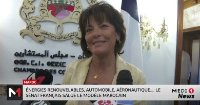 Le Sénat français vante le modèle marocain en énergies et transport