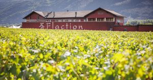 Le Tribunal fédéral épingle la société de l'encaveur valaisan Cédric Flaction pour de fausses déclarations d'impôt | RTS