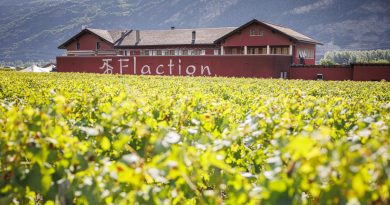 Le Tribunal fédéral épingle la société de l'encaveur valaisan Cédric Flaction pour de fausses déclarations d'impôt | RTS