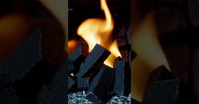 Le charbon cède la place à l'énergie solaire et éolienne 🌍⚡