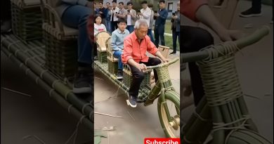 Le décalage de l'héritage immatériel et de l'art du bambou