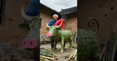 Le décalage entre le style de l'héritage et le tissage de bambou