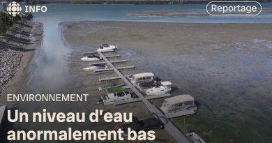 Le fleuve Saint-Laurent, au plus bas, recevra l'eau du lac Ontario