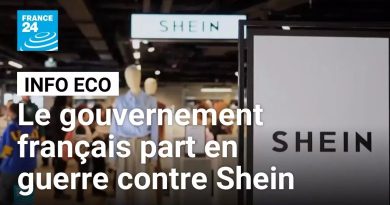 Le gouvernement français attaque Shein : enjeux et conséquences