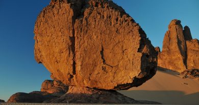 Nouvelle-Aquitaine, Bordeaux, Biarritz, dune, ocean, vineyard, forest, landscape