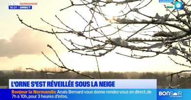 Le journal de 18h du vendredi 21 novembre 2025