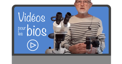 Le labo pour les bios n°3 - CIBPL-FFESSM