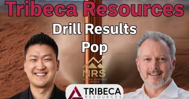 Le moteur cuprifère du Chili : la quête géante de Tribeca