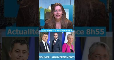 Le nouveau gouvernement Macron : un débat au sein des partis