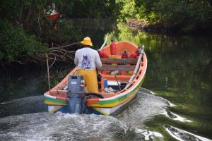 Le nouvel arrêté de pêche en Guadeloupe