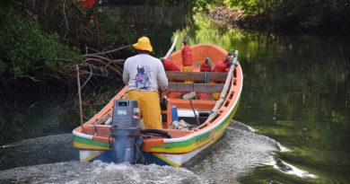 Le nouvel arrêté de pêche en Guadeloupe