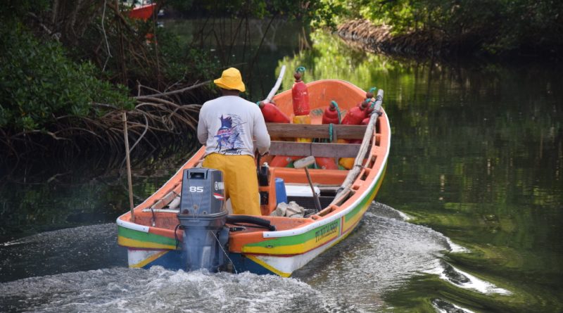 Le nouvel arrêté de pêche en Guadeloupe