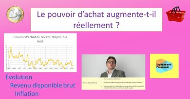 Le pouvoir d'achat : réalité ou illusion ? - Économie 33