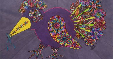 18159854_10208780364811958_554065521_o