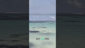 Le recyclage photo du Flip7 : un scandale à découvrir ?