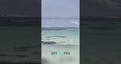 Le recyclage photo du Flip7 : un scandale à découvrir ?