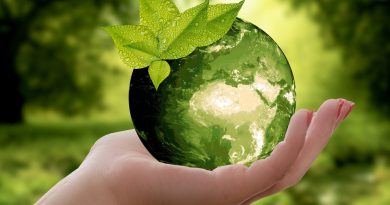 Le reporting TNFD enregistre 733 utilisateurs actifs dans le domaine de la nature