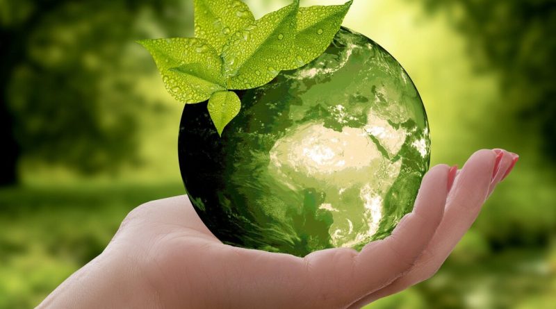 Le reporting TNFD enregistre 733 utilisateurs actifs dans le domaine de la nature