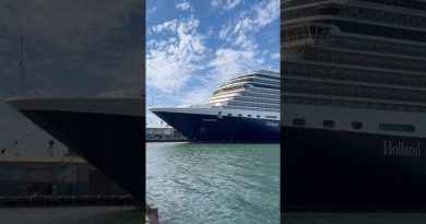 Le retour tant attendu des croisières à San Diego ! 🚢