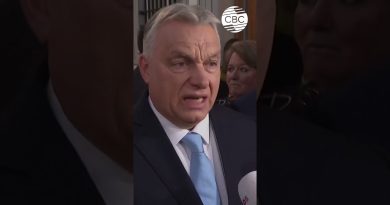 Le sommet boostera la popularité d'Orbán