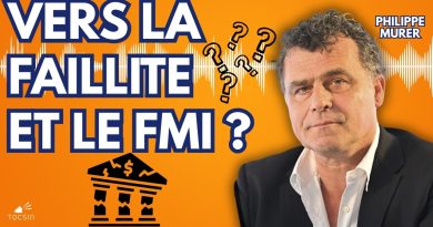 L'économie française peut-elle renaître ? Analyse de Philippe Murer