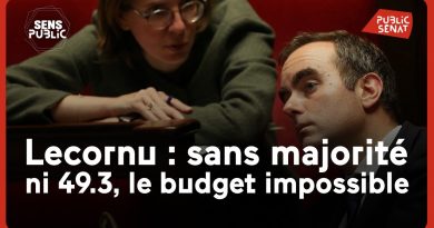 Lecornu : budget inextricable sans majorité ni 49.3