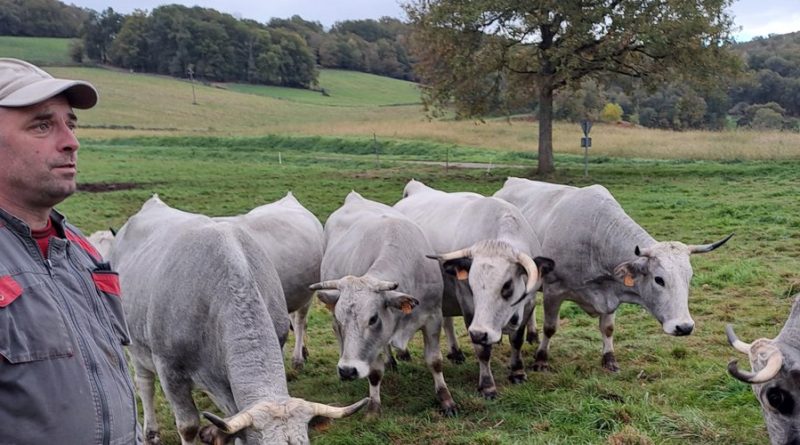 L’éleveur haut-garonnais face à la Dermatose : "On peut espérer passer à travers"