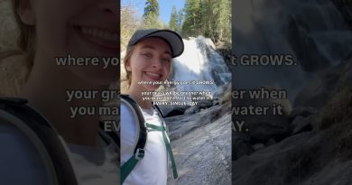 L'énergie suit votre attention et se développe