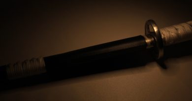 L’épopée de Miyamoto Musashi, le légendaire maître des samouraïs japonais