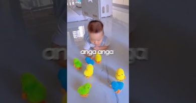 Les 3 Étapes Clés de la Parentalité 💕