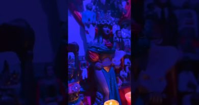 🌟 Les Activités du Grand Maître Pépé Amanve 🌟✨