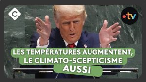 Les COP : Sont-elles réellement efficaces pour le climat ?