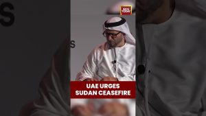 Les Émirats Arabes Unis appellent à un cessez-le-feu au Soudan