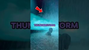 Les Expériences Spa les Plus Insolites au Monde