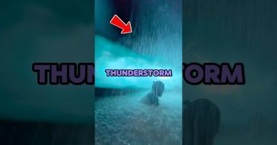 Les Expériences Spa les Plus Insolites au Monde