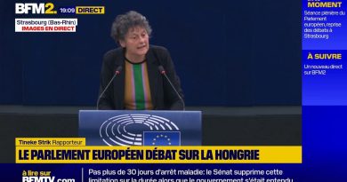Une eurodéputée écologiste alerte sur la liberté et la discrimination des Hongrois face à leur gouvernement