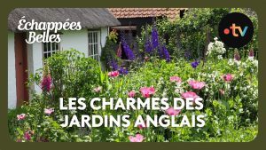 Les Jardins Anglais : Un Voyage Éblouissant en 4K