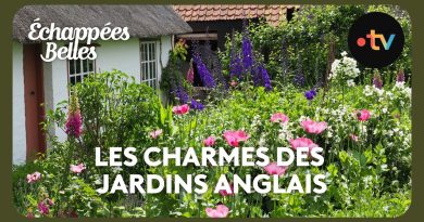 Les Jardins Anglais : Un Voyage Éblouissant en 4K