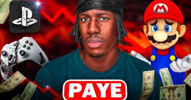 Les Jeux Vidéo : Vers un Déclin Inévitable ?