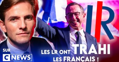 Les LR ont trahi les Français, selon Erik Tegnér sur CNews