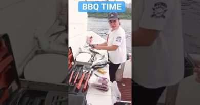 Les Meilleurs Moments : BBQ, Musique et Voyages