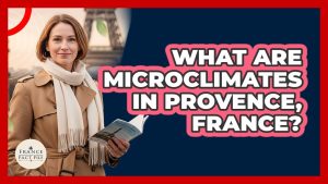Les Microclimats de Provence : Faits et Découvertes