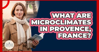 Les Microclimats de Provence : Faits et Découvertes