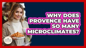 Les Microclimats de Provence : Un Phénomène Fascinant