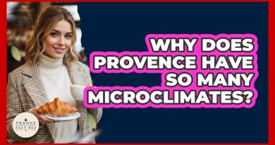 Les Microclimats de Provence : Un Phénomène Fascinant